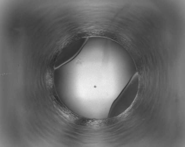 X0000057090186200509090948