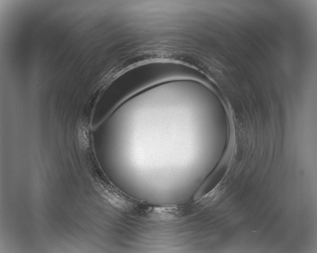 X0000057090188200509090948