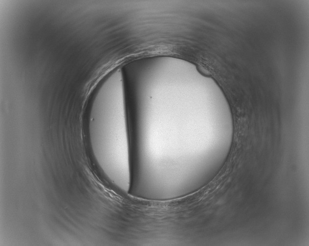 X0000057090194200509090948