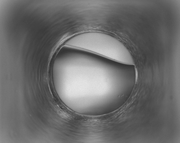 X0000057090195200509090947