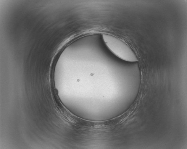 X0000057090196200509090947