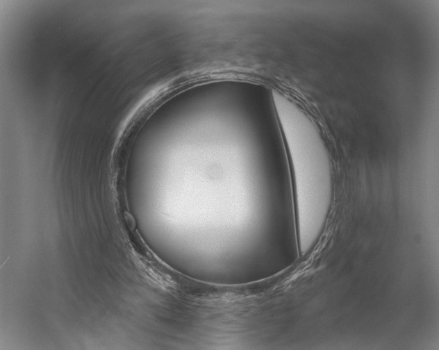 X0000057090197200509090947