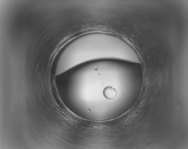 X0000057090199200509090947