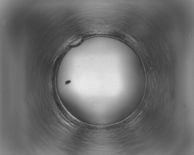 X0000057090203200509090947