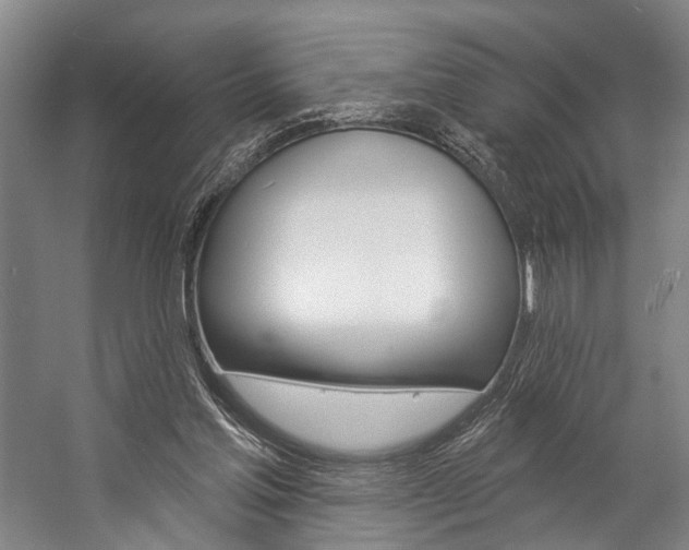 X0000057090205200509090947