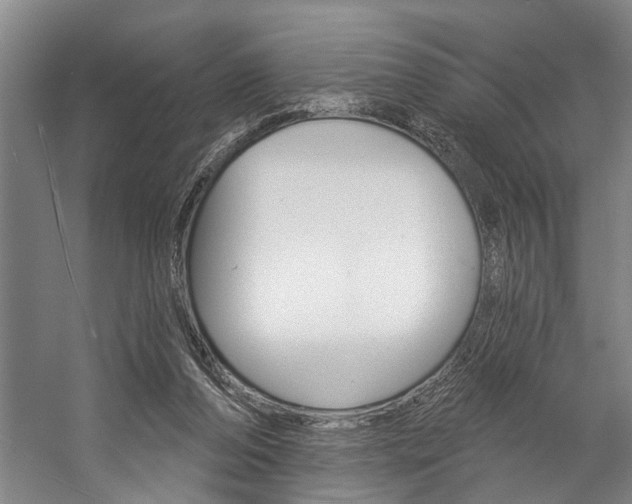 X0000057090208200509090947