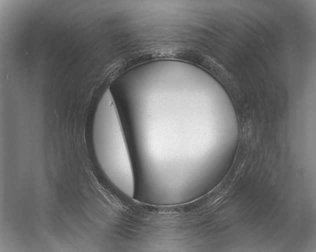 X0000057090209200509090947