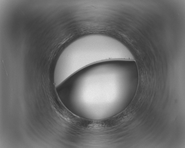 X0000057090211200509090947