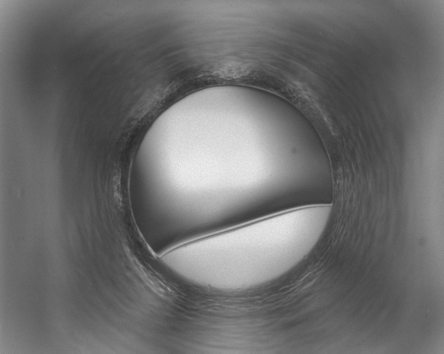 X0000057090212200509090947