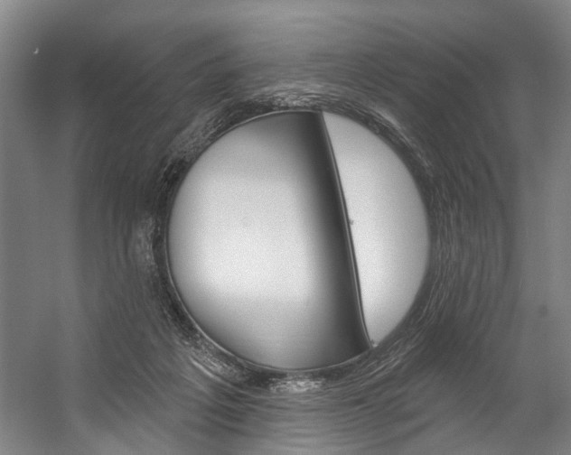 X0000057090217200509090947