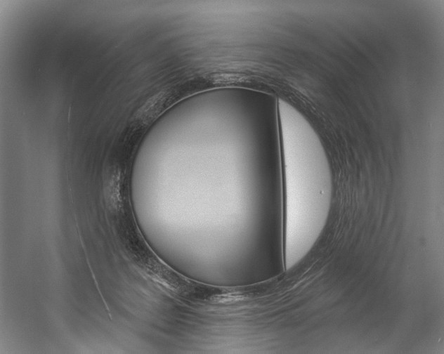 X0000057090219200509090947