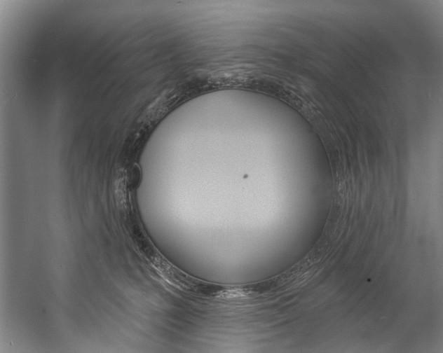 X0000057090231200509090947