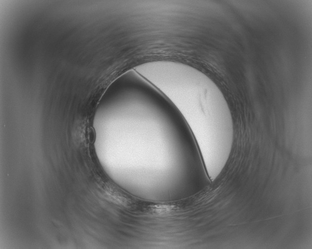 X0000057090233200509090947