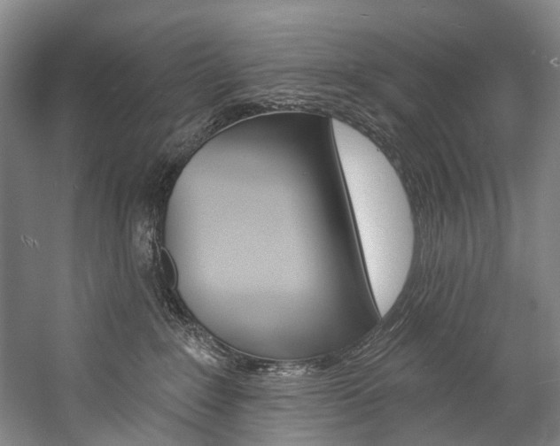 X0000057090235200509090947