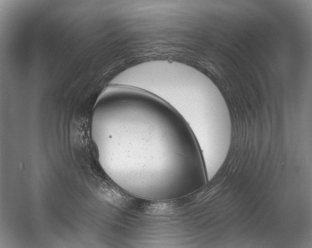 X0000057090237200509090947