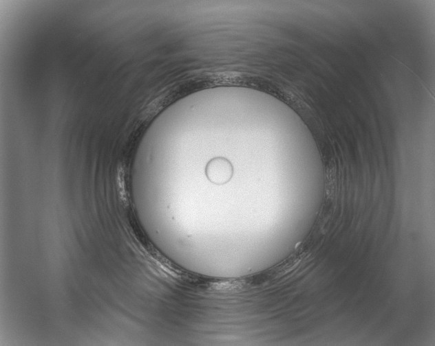 X0000057090238200509090947