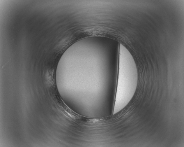 X0000057090239200509090947