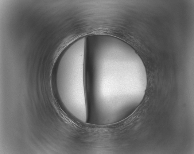 X0000057090242200509090946