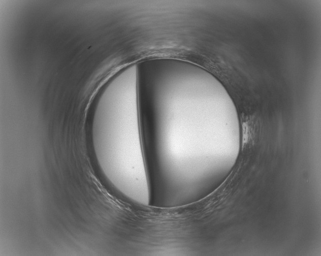 X0000057090243200509090946