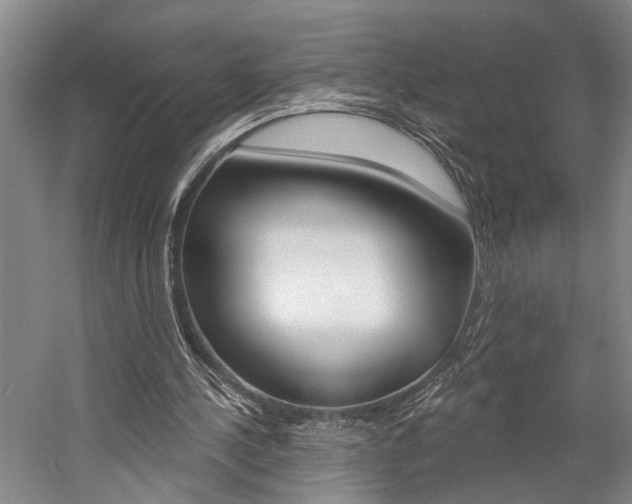 X0000057090244200509090946