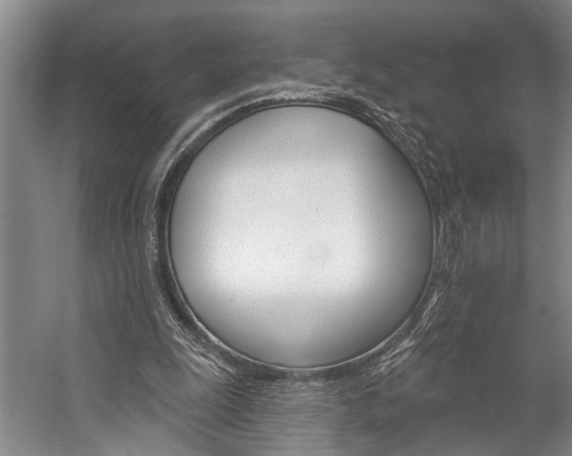 X0000057090247200509090946