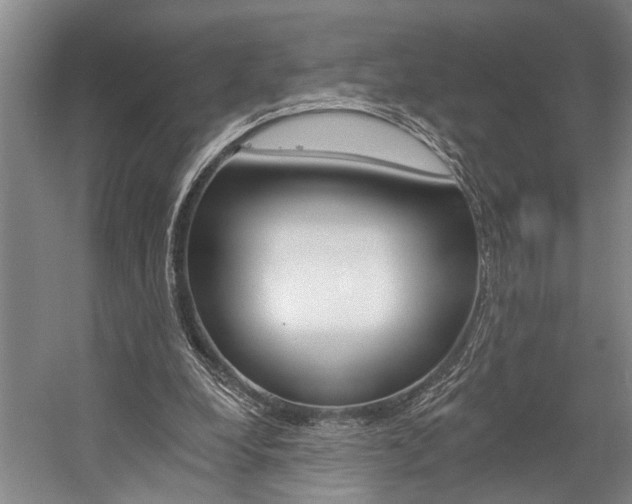 X0000057090248200509090946