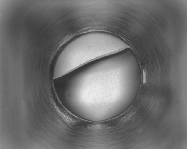 X0000057090253200509090946