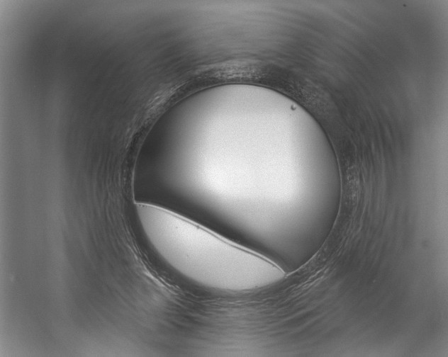 X0000057090255200509090946