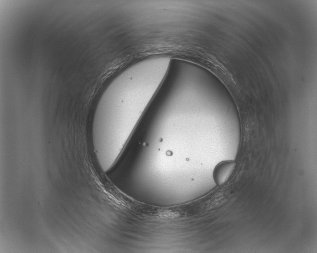 X0000057090257200509090946