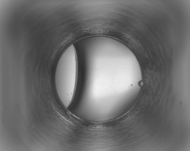 X0000057090258200509090946