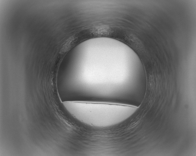 X0000057090259200509090946