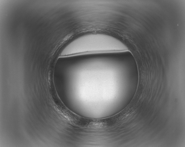 X0000057090260200509090946