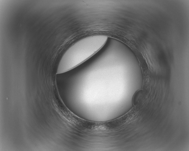 X0000057090262200509090946