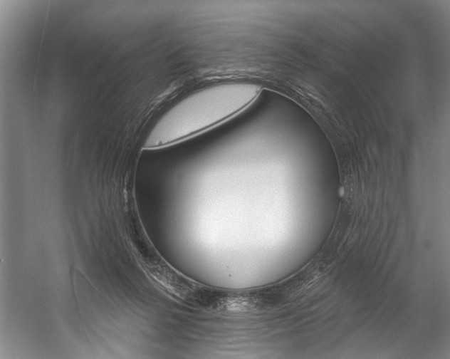 X0000057090264200509090946