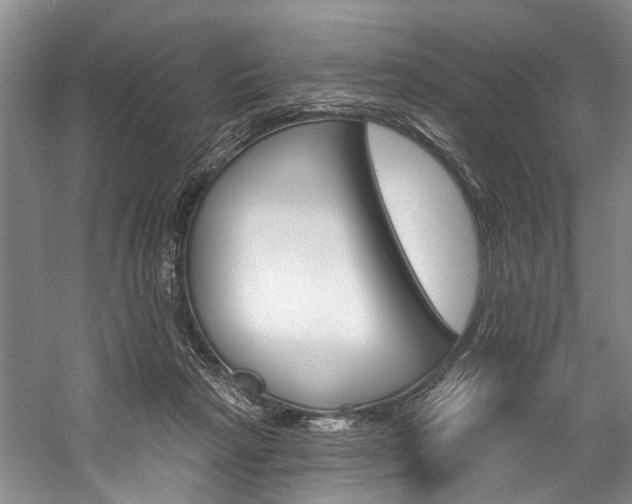 X0000057090265200509090946