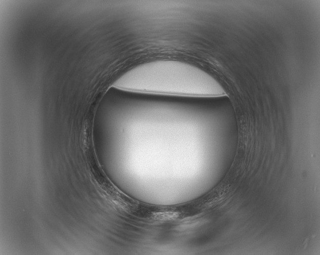 X0000057090266200509090946