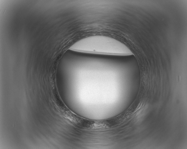 X0000057090270200509090946