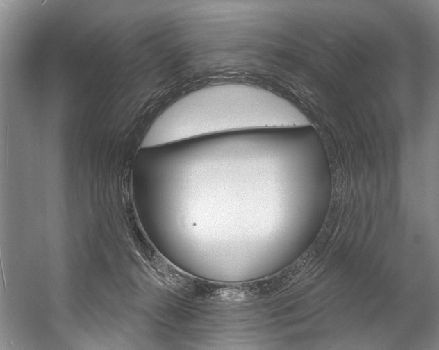 X0000057090272200509090946