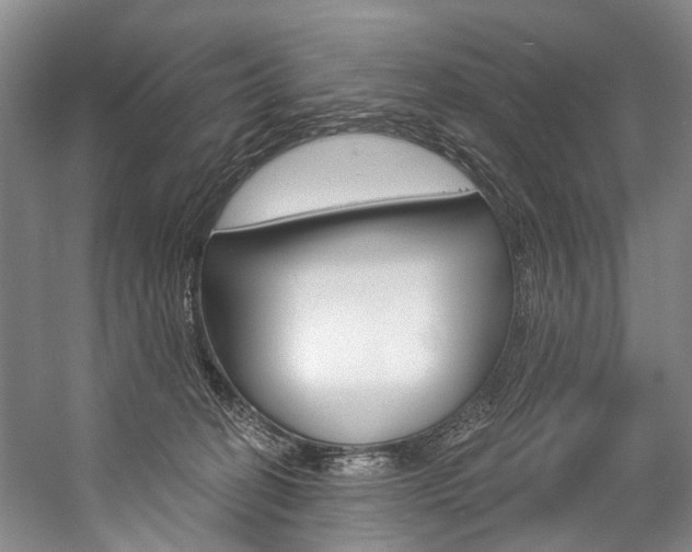 X0000057090274200509090946