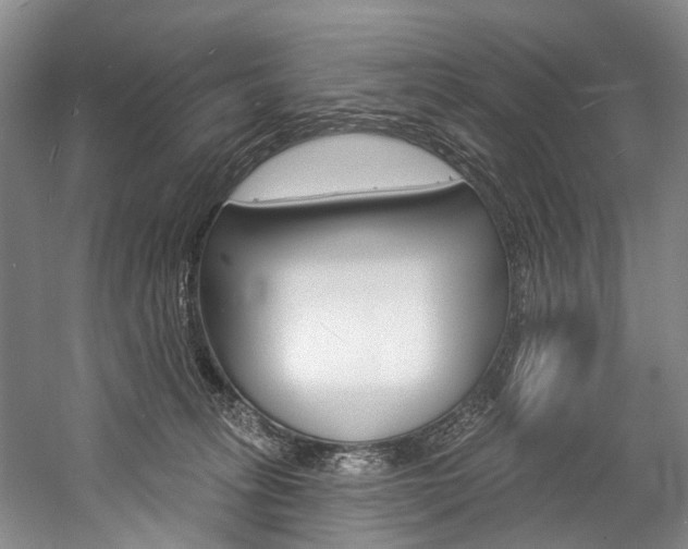 X0000057090275200509090946