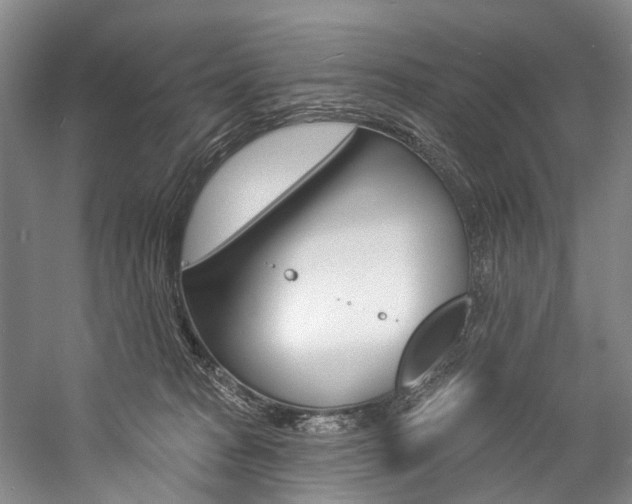 X0000057090277200509090947