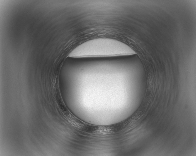 X0000057090278200509090947