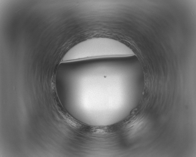 X0000057090285200509090947