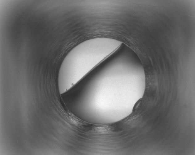 X0000057090286200509090947