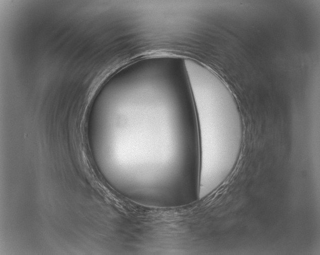 X0000057090289200509090946