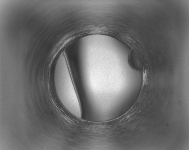 X0000057090291200509090946