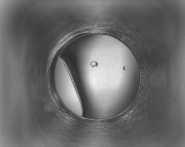 X0000057090295200509090946