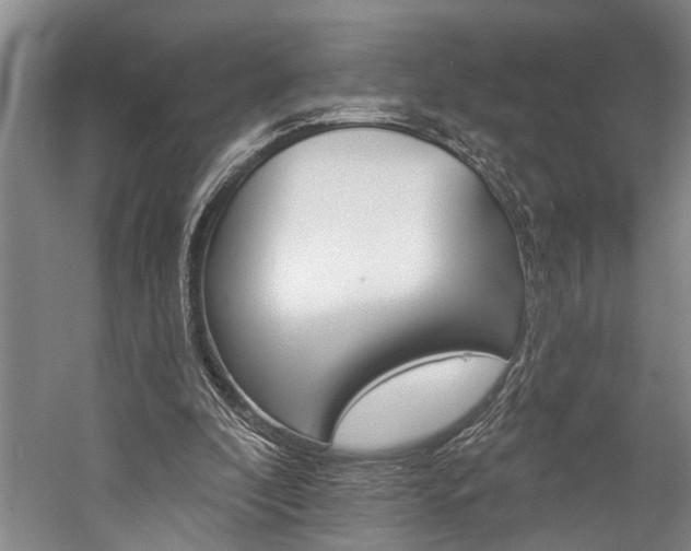 X0000057090296200509090946