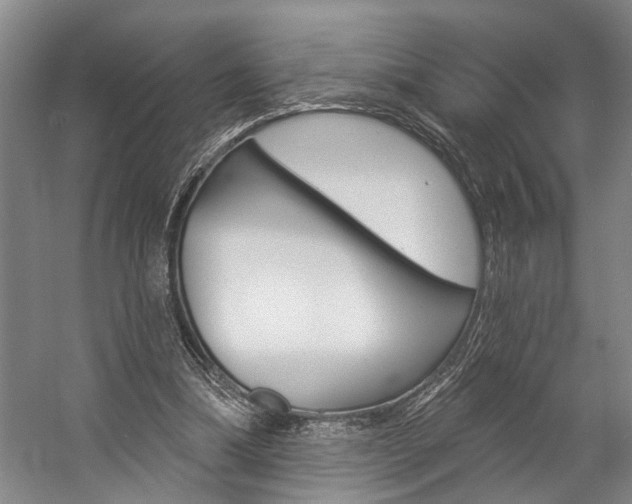 X0000057090298200509090946