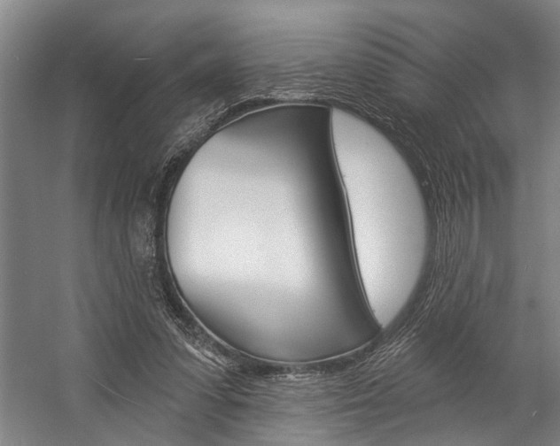 X0000057090303200509090946